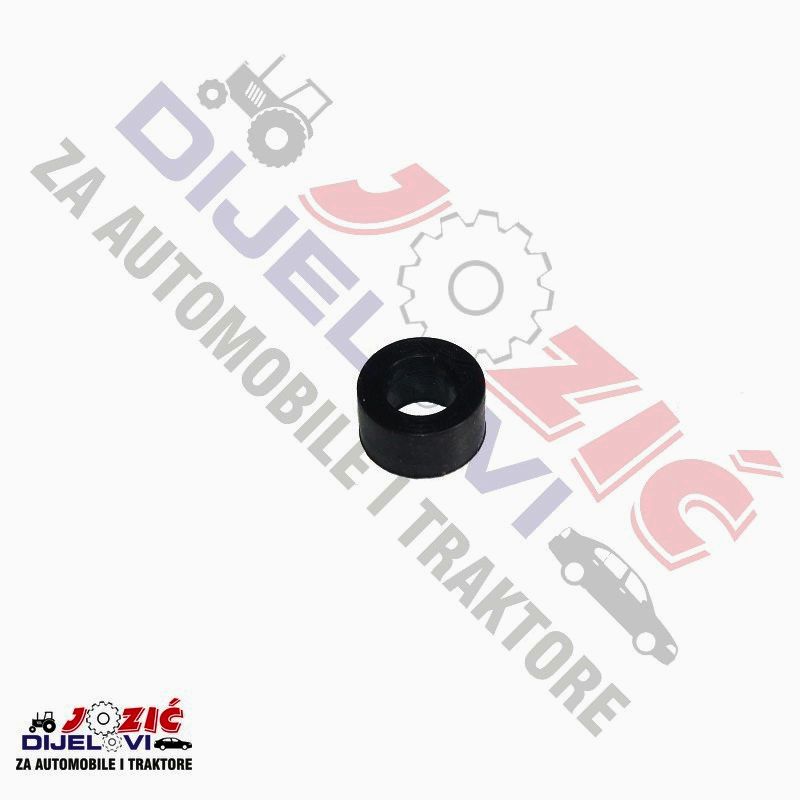 Daisy on the Ohoopee